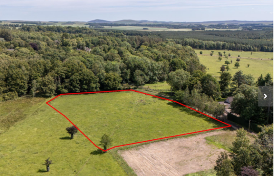 Building Plot in Spottiswoode photo